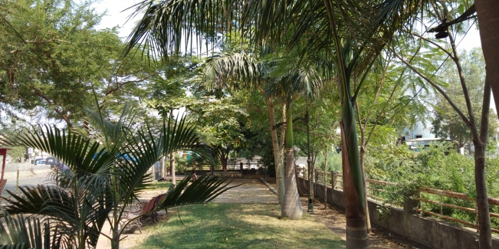 Ghediya Khada Garden